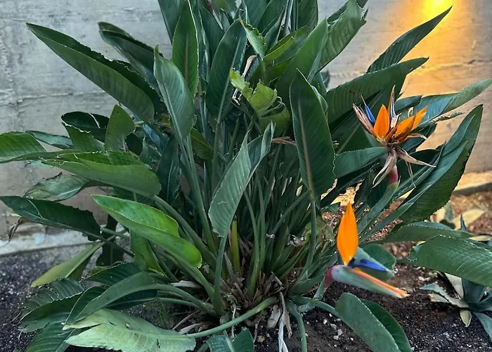 Сasa de vacaciones Marval *