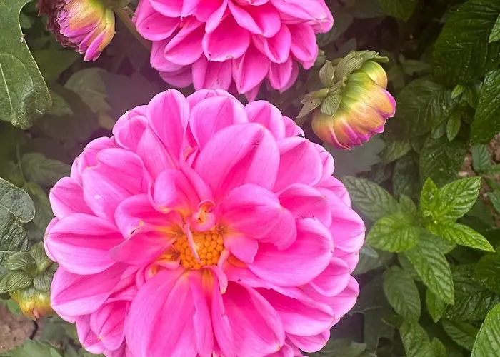 Сasa de vacaciones Marval *