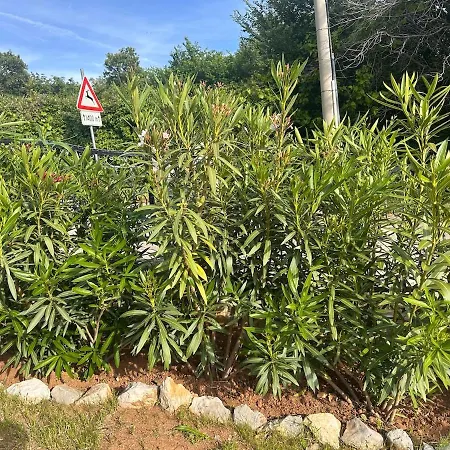 Holiday home Marval Bribir (Primorje-Gorski Kotar)