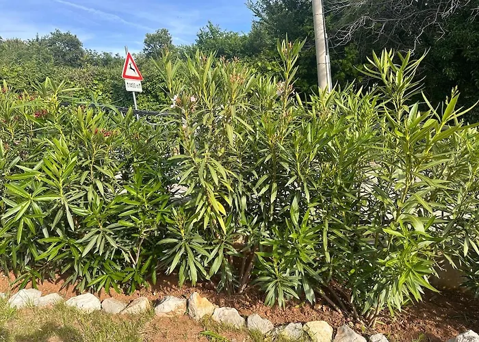 Holiday home Marval Bribir (Primorje-Gorski Kotar)