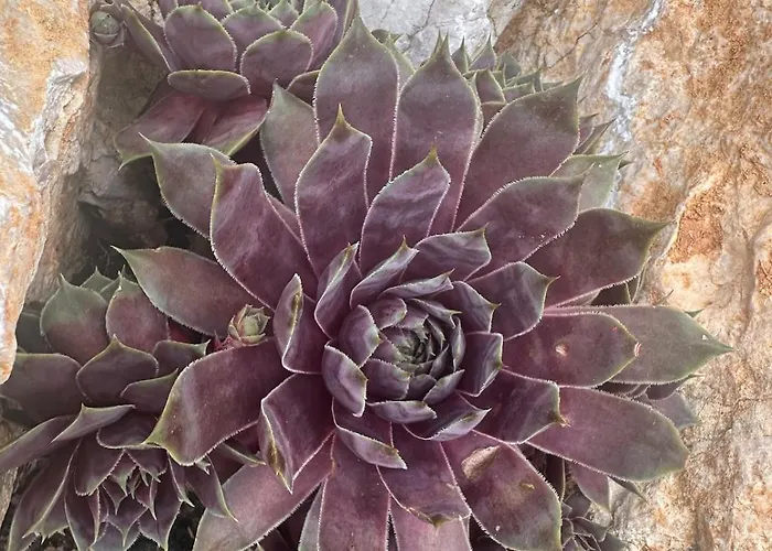 Holiday home Marval *